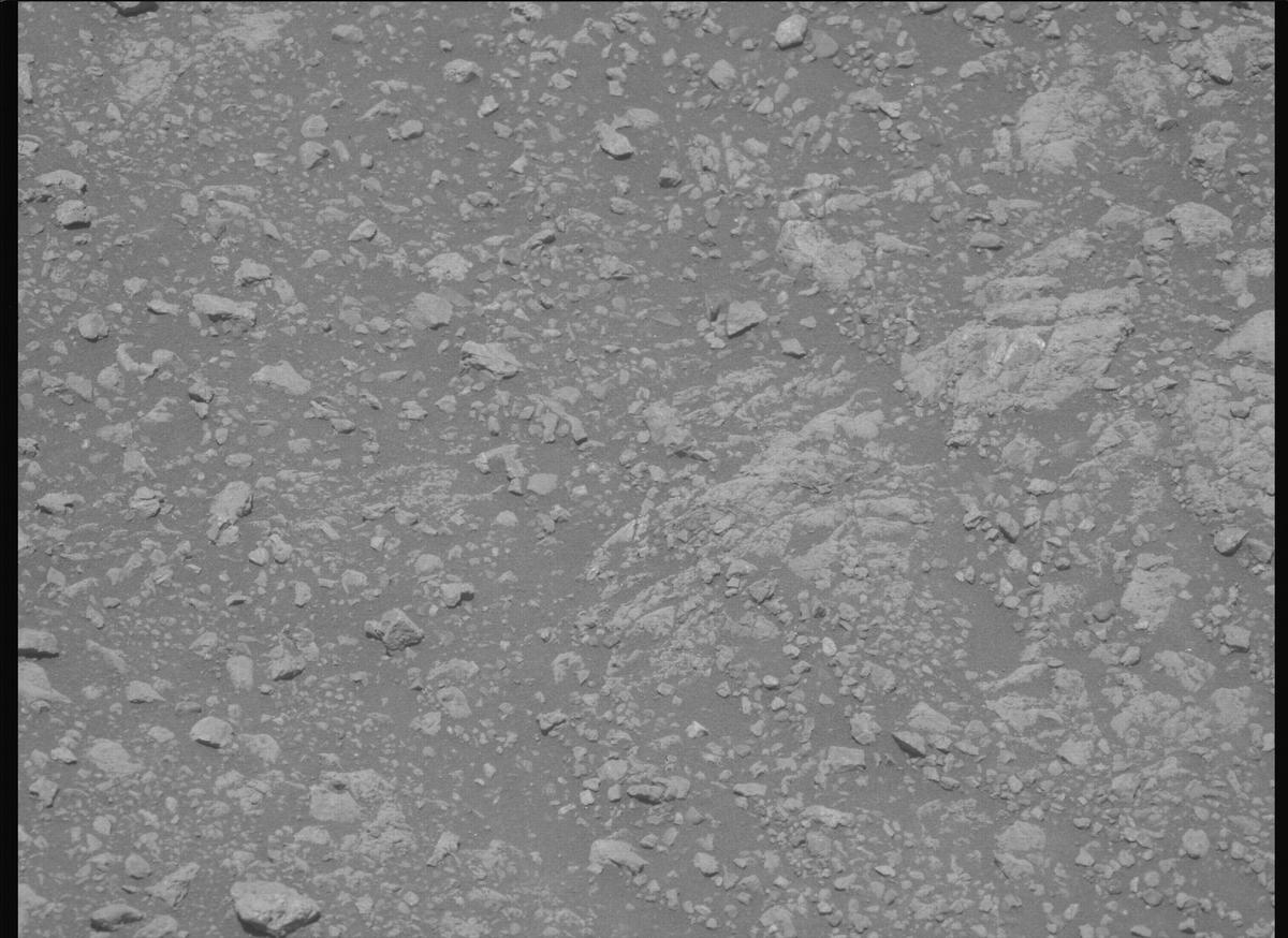 This image was taken by MCZ_LEFT onboard NASA's Mars rover Perseverance on Sol 1615