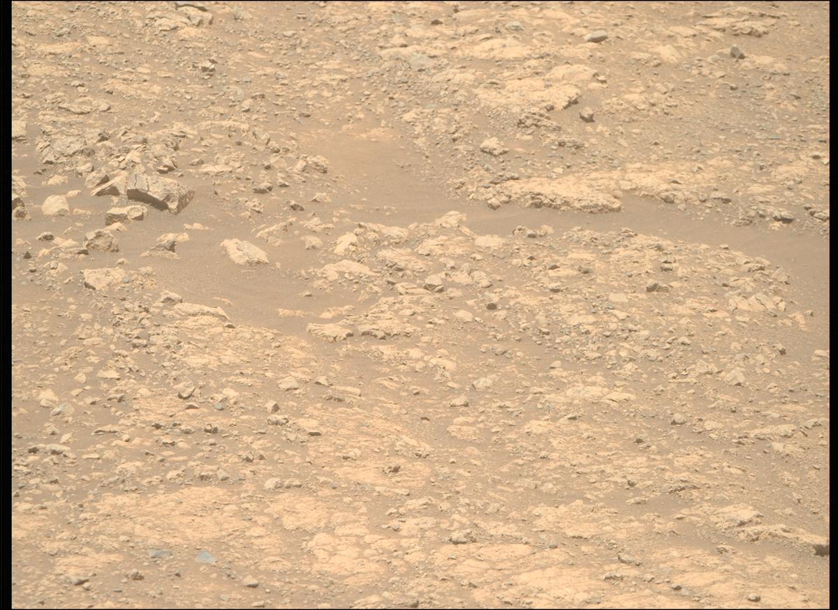 This image was taken by MCZ_RIGHT onboard NASA's Mars rover Perseverance on Sol 1615