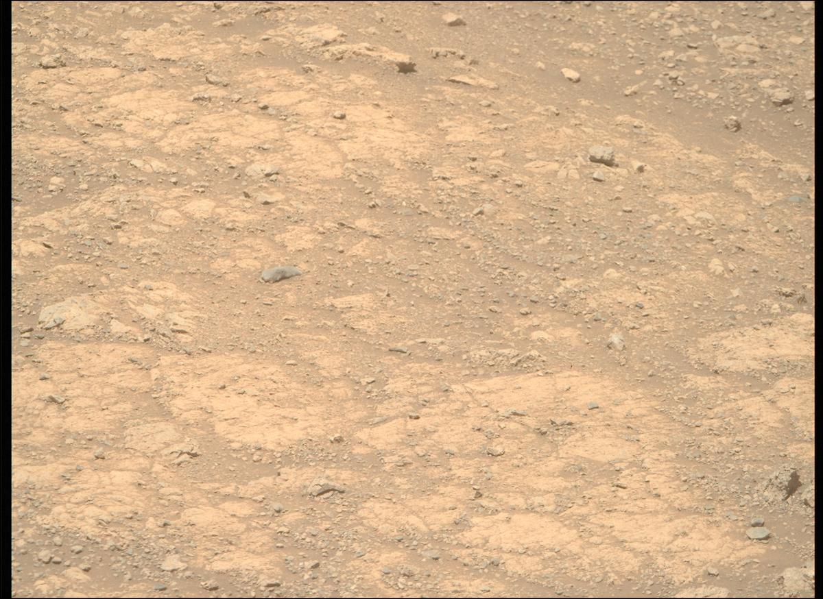 This image was taken by MCZ_RIGHT onboard NASA's Mars rover Perseverance on Sol 1615