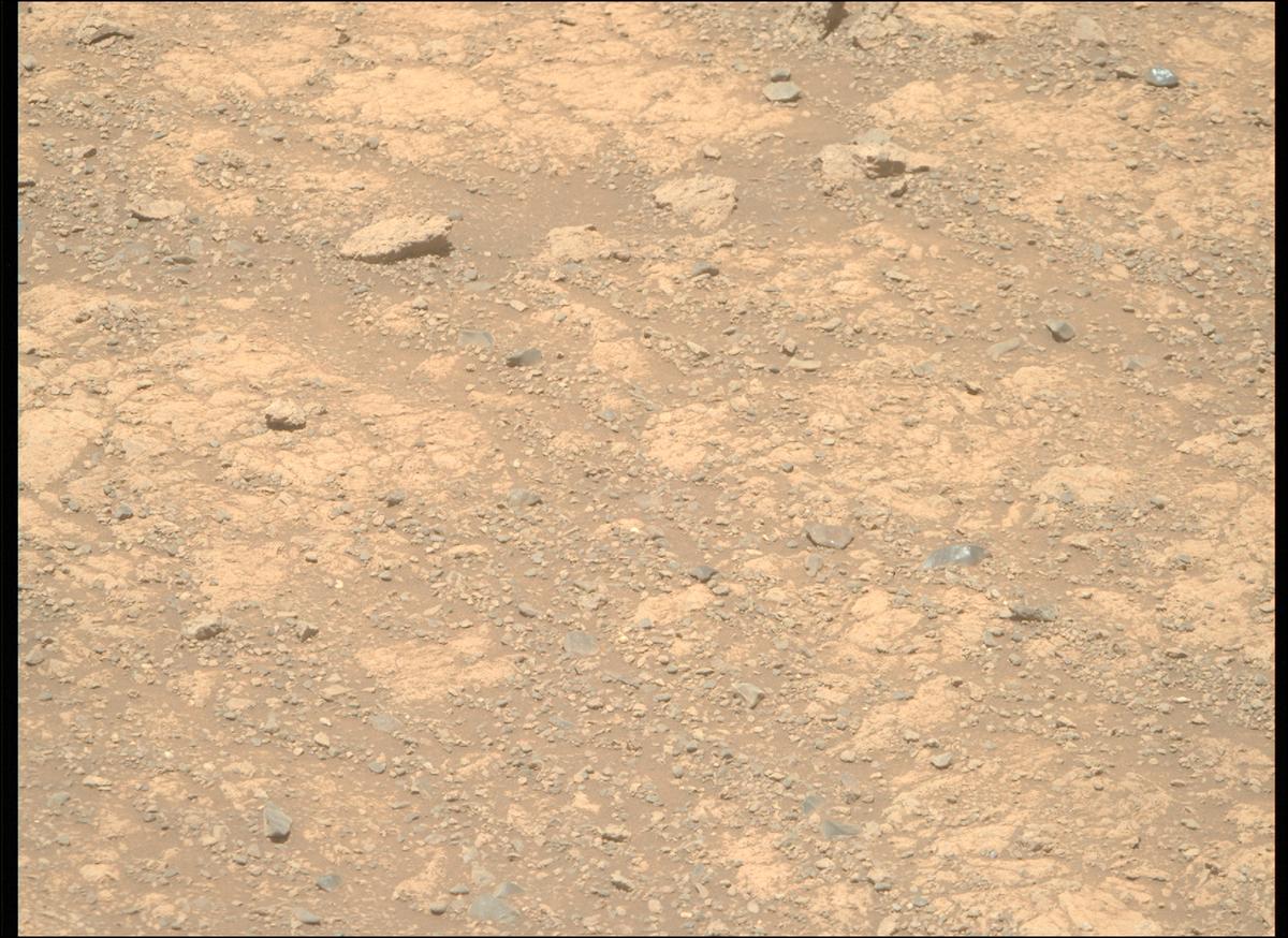 This image was taken by MCZ_RIGHT onboard NASA's Mars rover Perseverance on Sol 1615