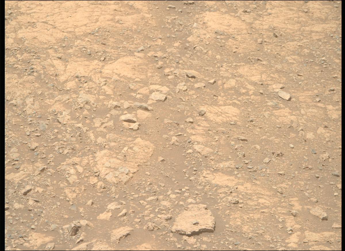 This image was taken by MCZ_RIGHT onboard NASA's Mars rover Perseverance on Sol 1615