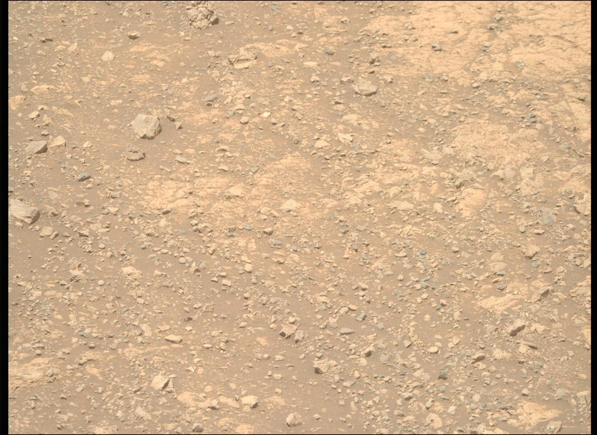 This image was taken by MCZ_RIGHT onboard NASA's Mars rover Perseverance on Sol 1615