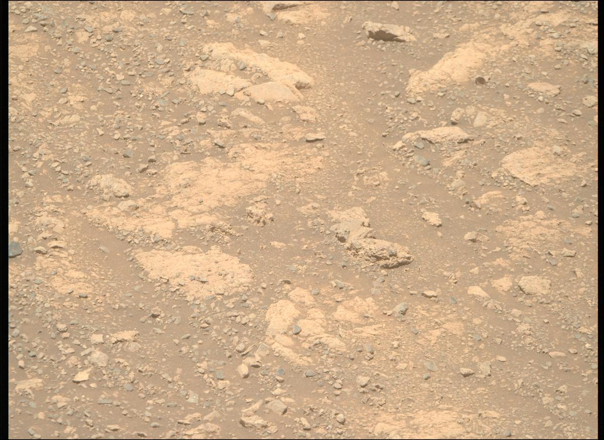 This image was taken by MCZ_RIGHT onboard NASA's Mars rover Perseverance on Sol 1615