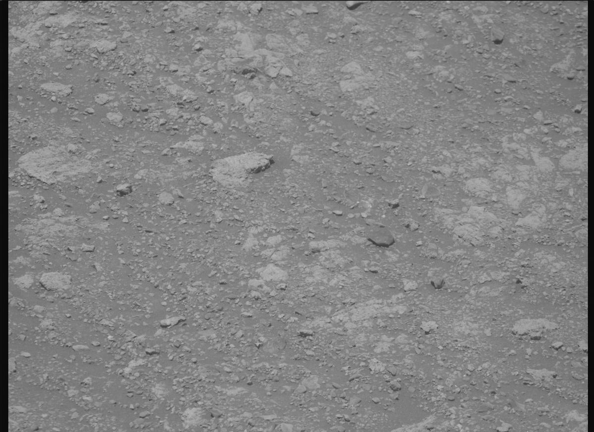 This image was taken by MCZ_RIGHT onboard NASA's Mars rover Perseverance on Sol 1615