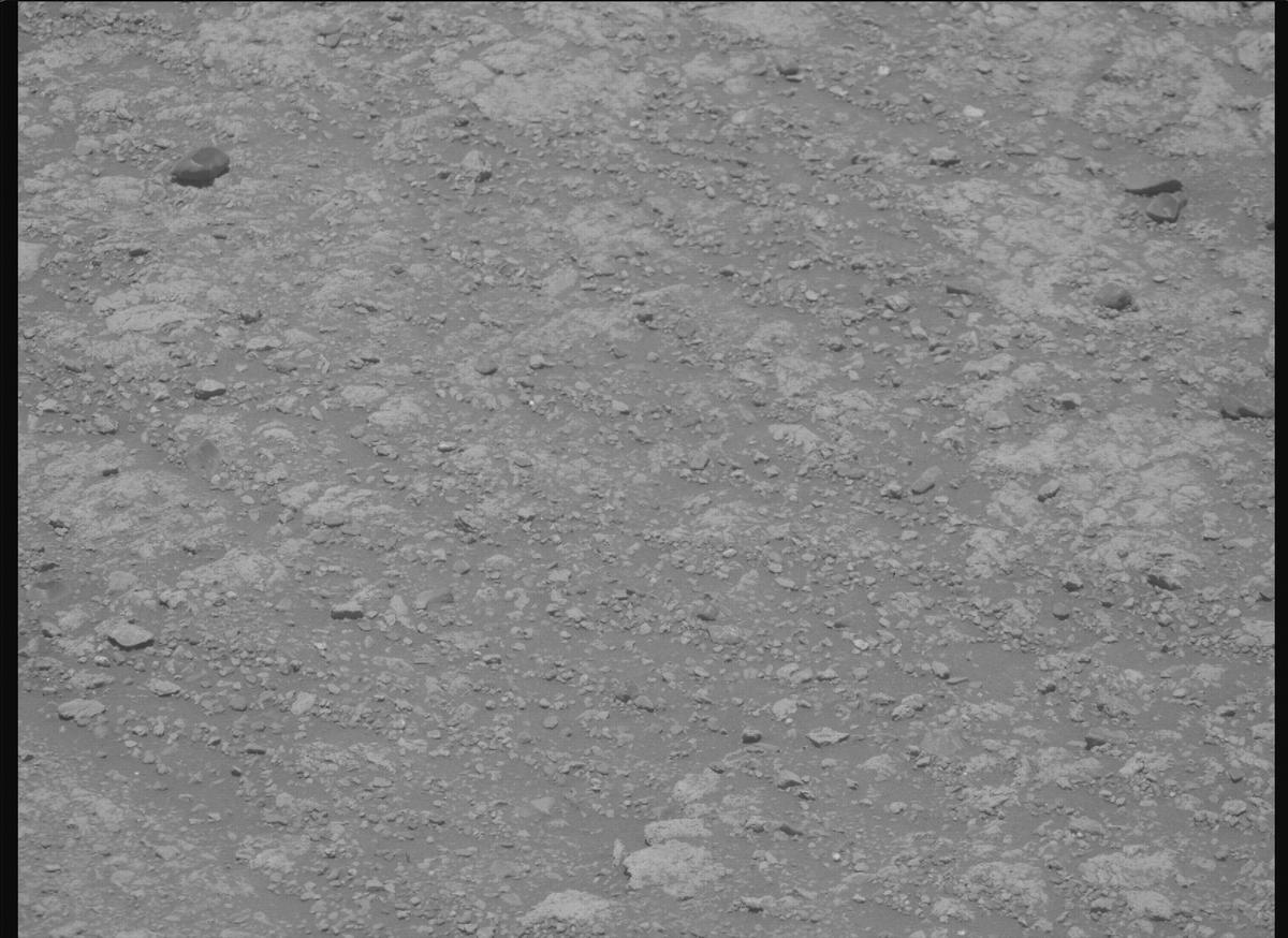 This image was taken by MCZ_RIGHT onboard NASA's Mars rover Perseverance on Sol 1615
