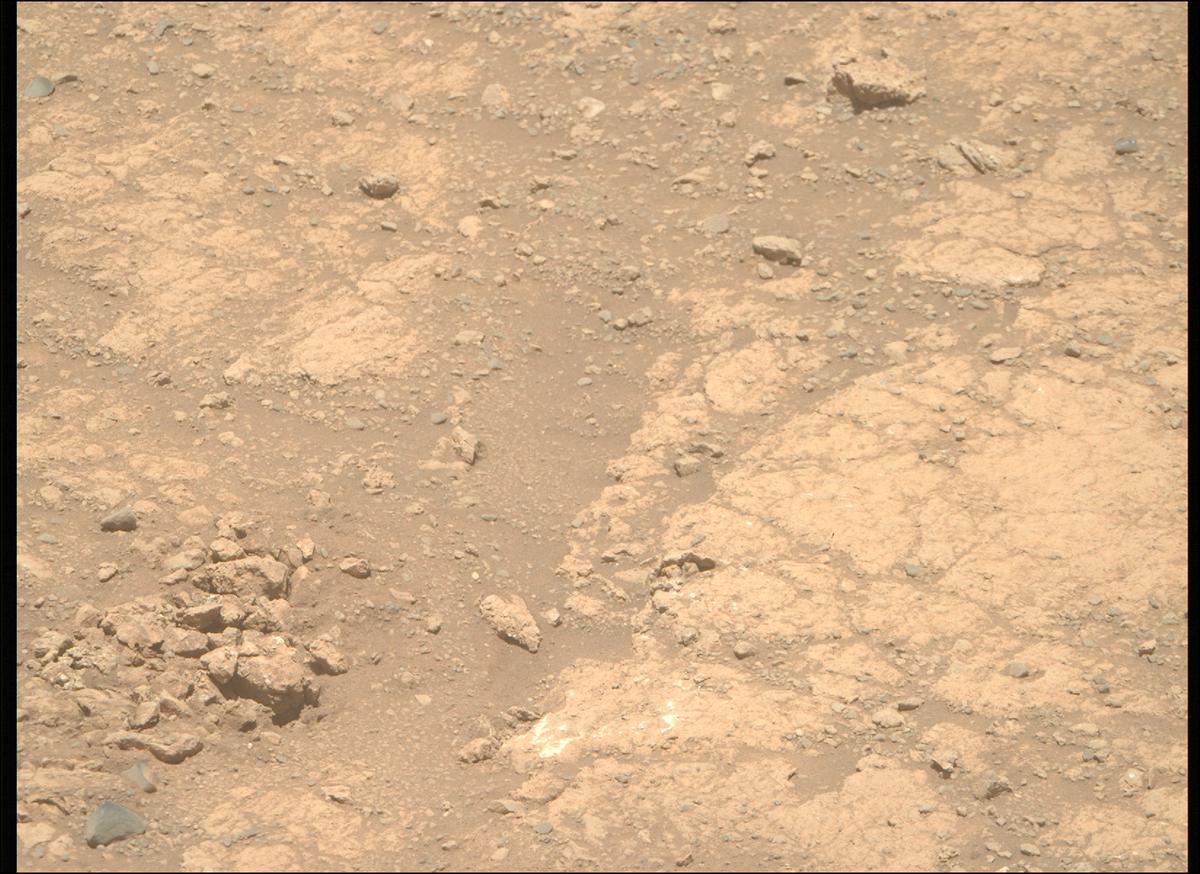 This image was taken by MCZ_RIGHT onboard NASA's Mars rover Perseverance on Sol 1615