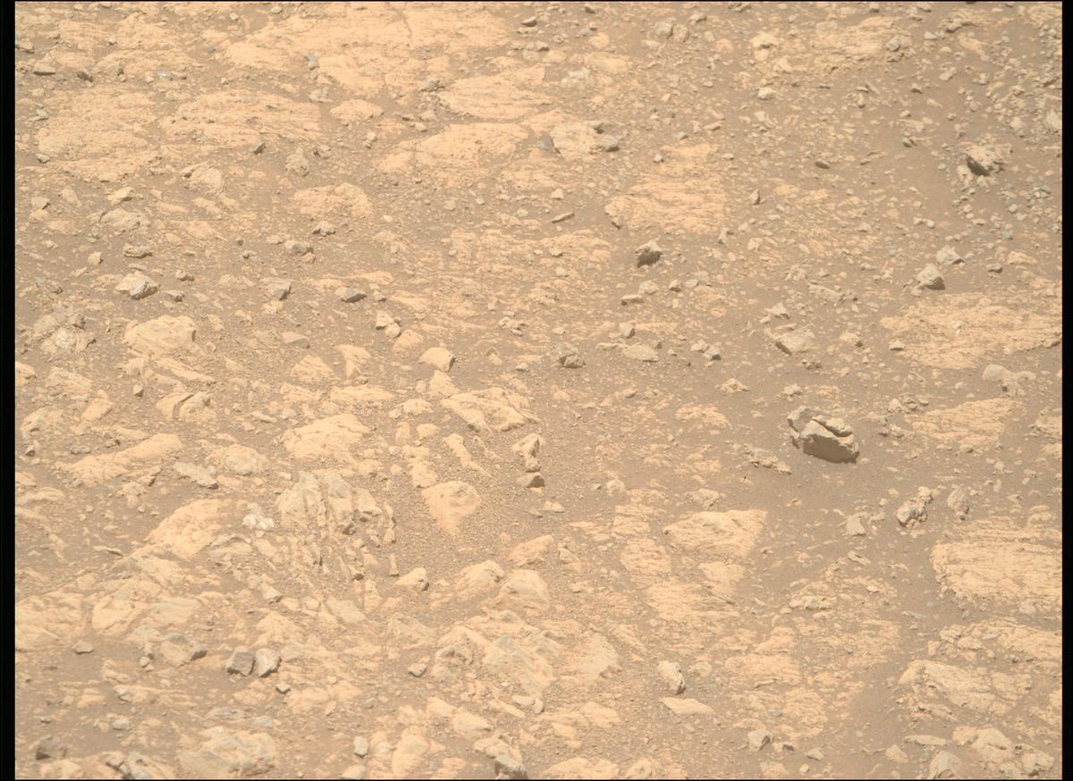 This image was taken by MCZ_RIGHT onboard NASA's Mars rover Perseverance on Sol 1615