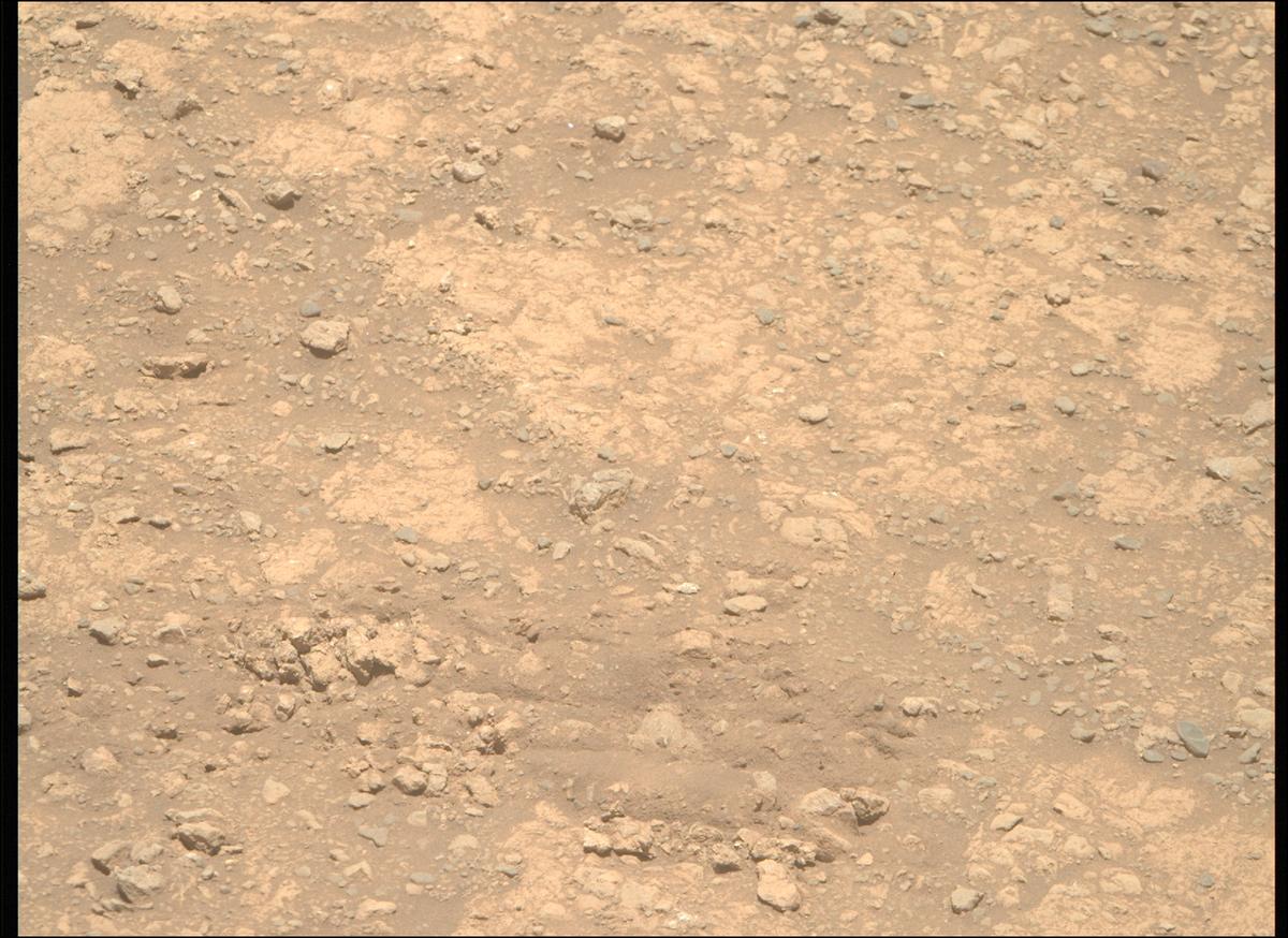 This image was taken by MCZ_RIGHT onboard NASA's Mars rover Perseverance on Sol 1615