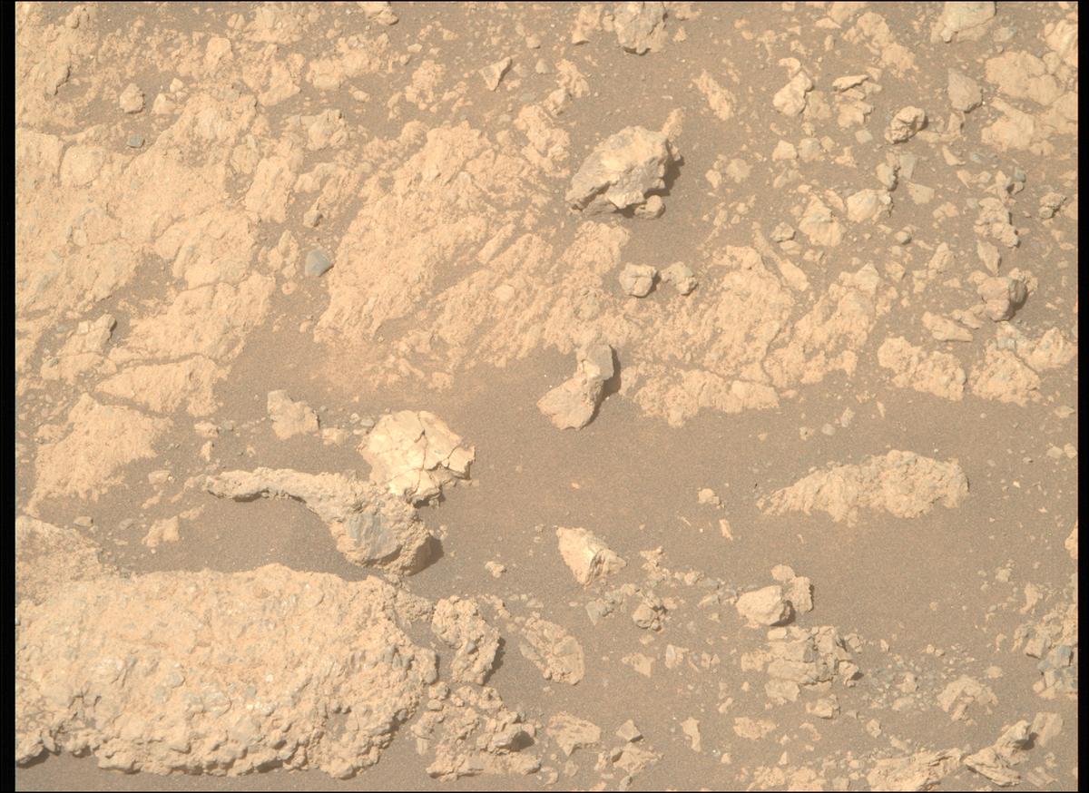 This image was taken by MCZ_RIGHT onboard NASA's Mars rover Perseverance on Sol 1615