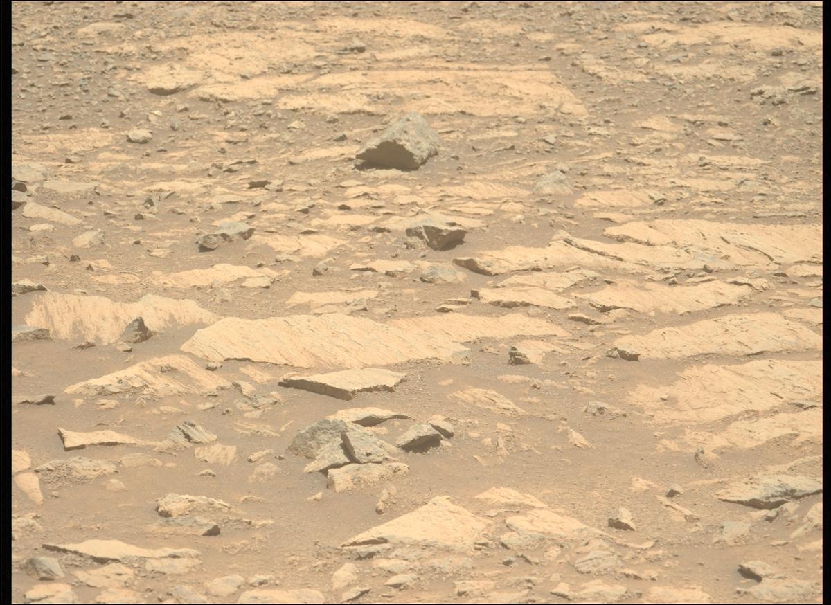 This image was taken by MCZ_LEFT onboard NASA's Mars rover Perseverance on Sol 1617