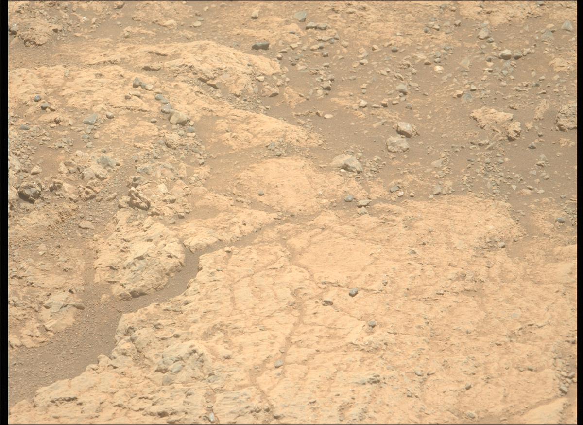 This image was taken by MCZ_LEFT onboard NASA's Mars rover Perseverance on Sol 1617