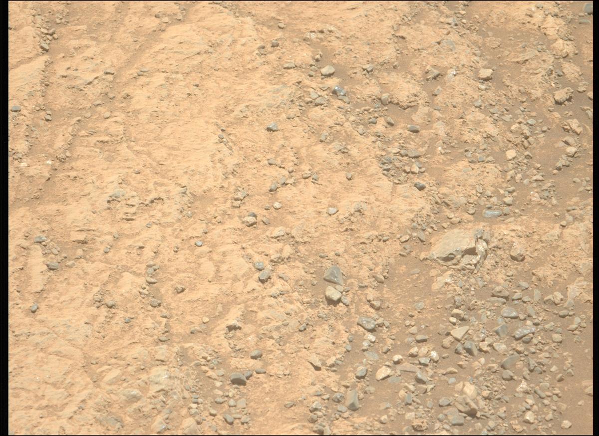 This image was taken by MCZ_LEFT onboard NASA's Mars rover Perseverance on Sol 1617