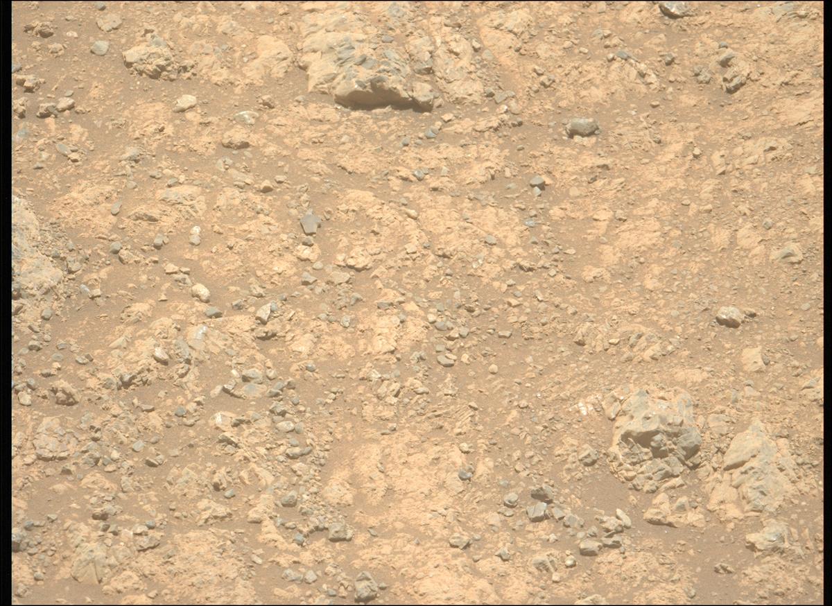 This image was taken by MCZ_LEFT onboard NASA's Mars rover Perseverance on Sol 1617