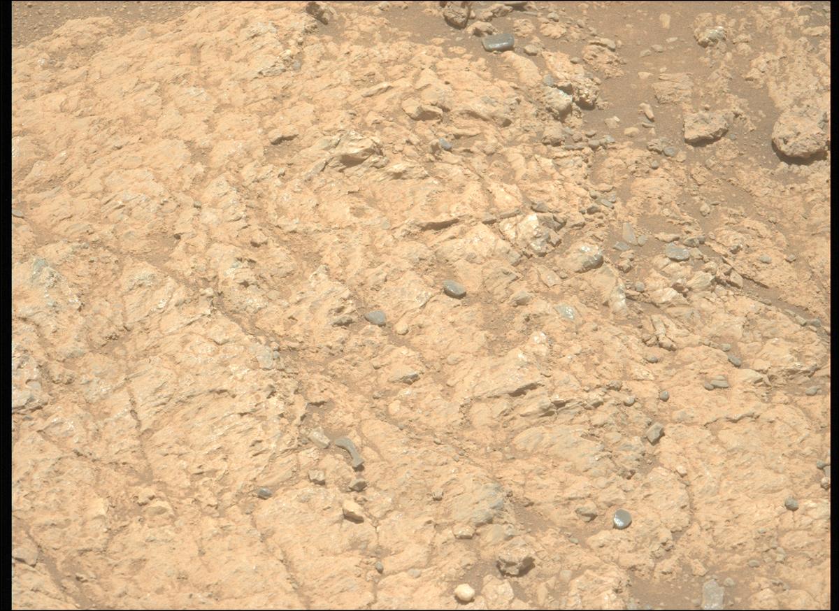 This image was taken by MCZ_LEFT onboard NASA's Mars rover Perseverance on Sol 1617