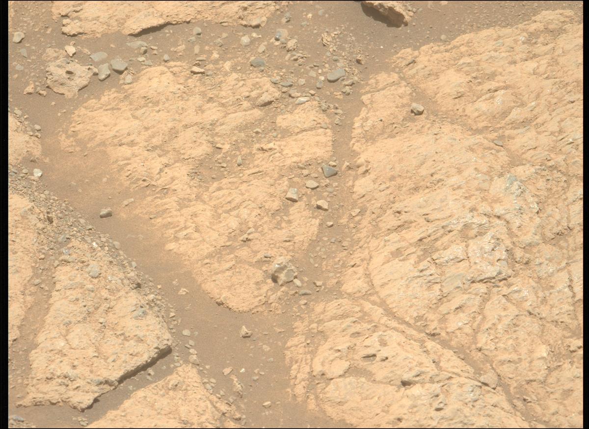 This image was taken by MCZ_LEFT onboard NASA's Mars rover Perseverance on Sol 1617