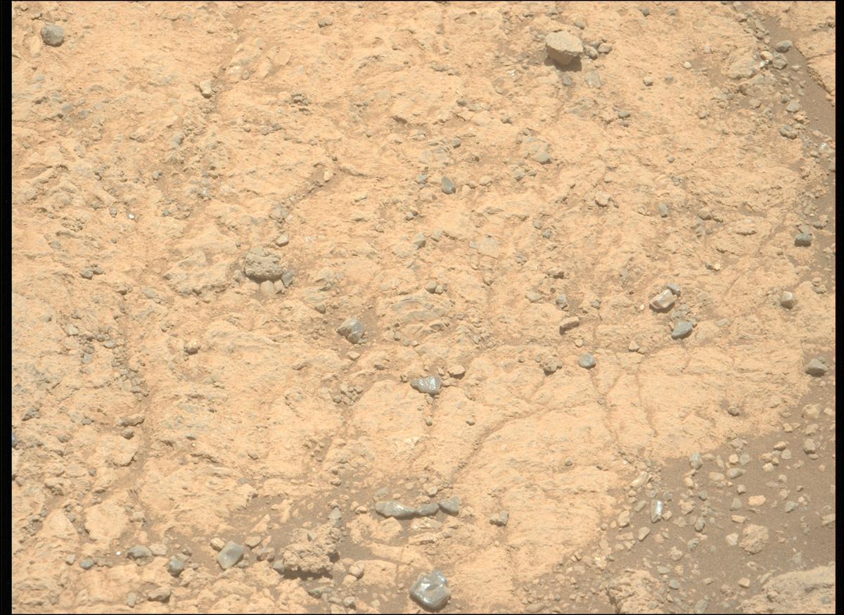 This image was taken by MCZ_LEFT onboard NASA's Mars rover Perseverance on Sol 1617