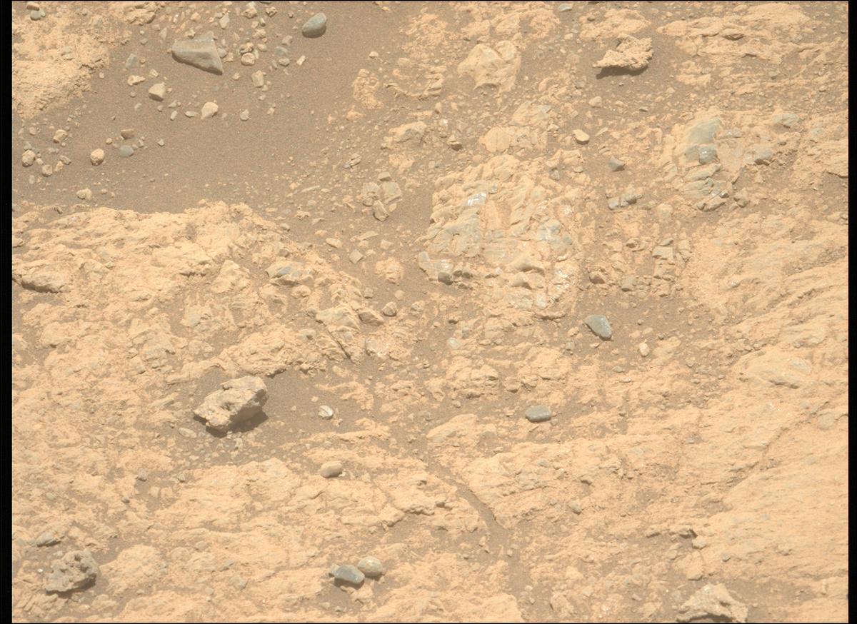 This image was taken by MCZ_LEFT onboard NASA's Mars rover Perseverance on Sol 1617