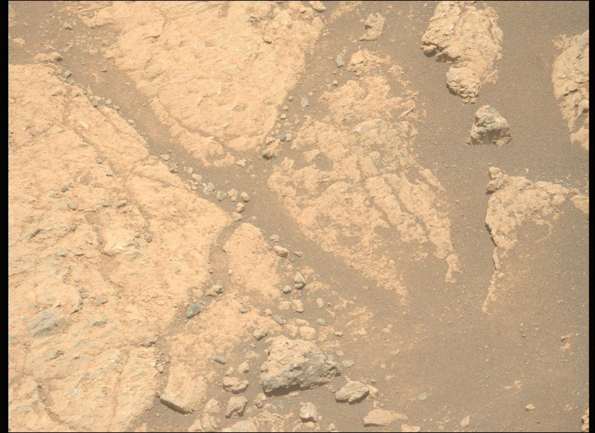 This image was taken by MCZ_LEFT onboard NASA's Mars rover Perseverance on Sol 1617