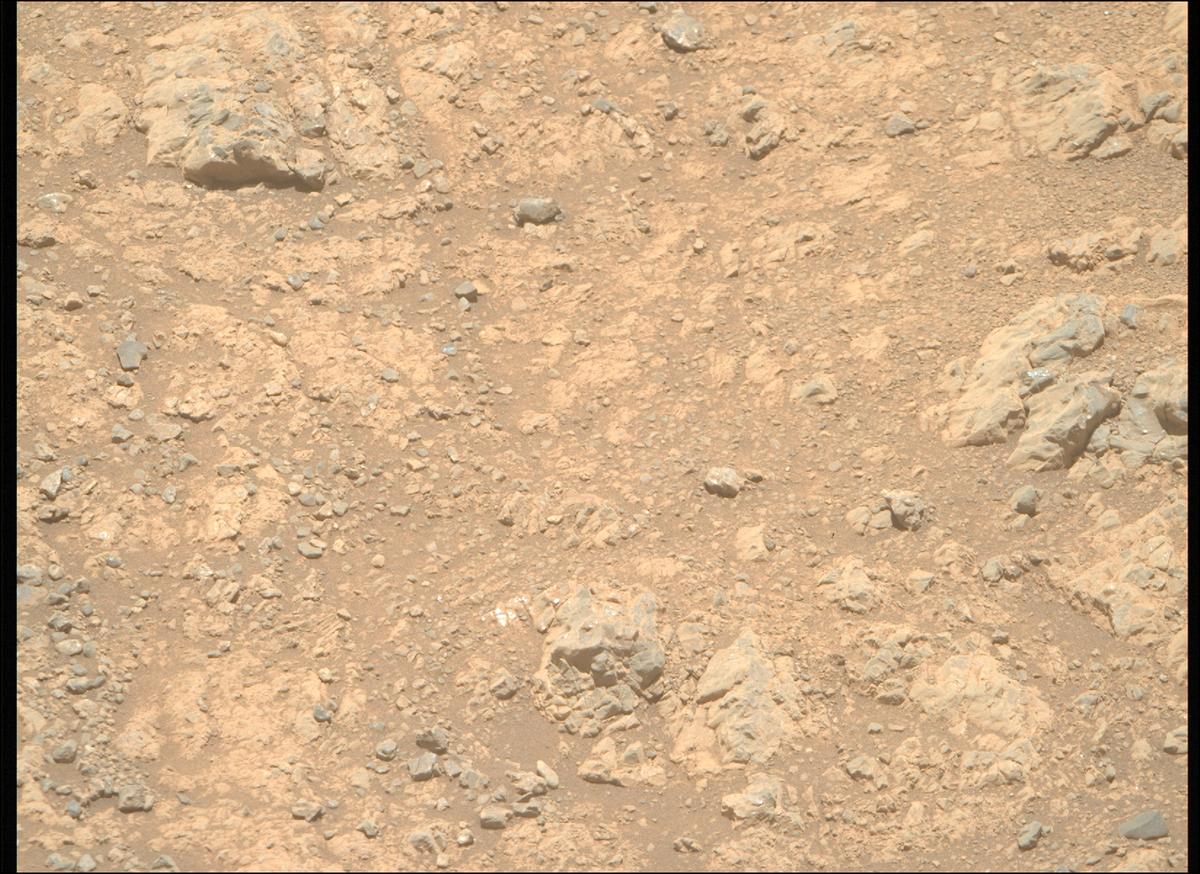 This image was taken by MCZ_RIGHT onboard NASA's Mars rover Perseverance on Sol 1617