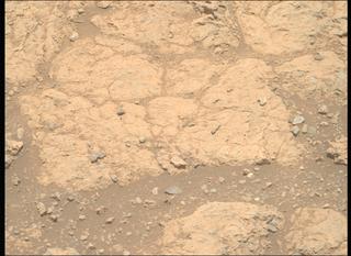 View image taken on Mars, Mars Perseverance Sol 1617: Right Mastcam-Z Camera
