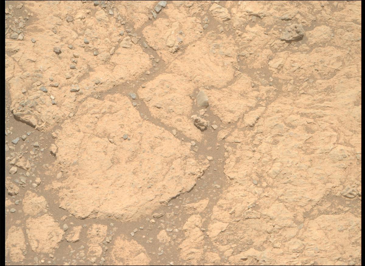 This image was taken by MCZ_RIGHT onboard NASA's Mars rover Perseverance on Sol 1617