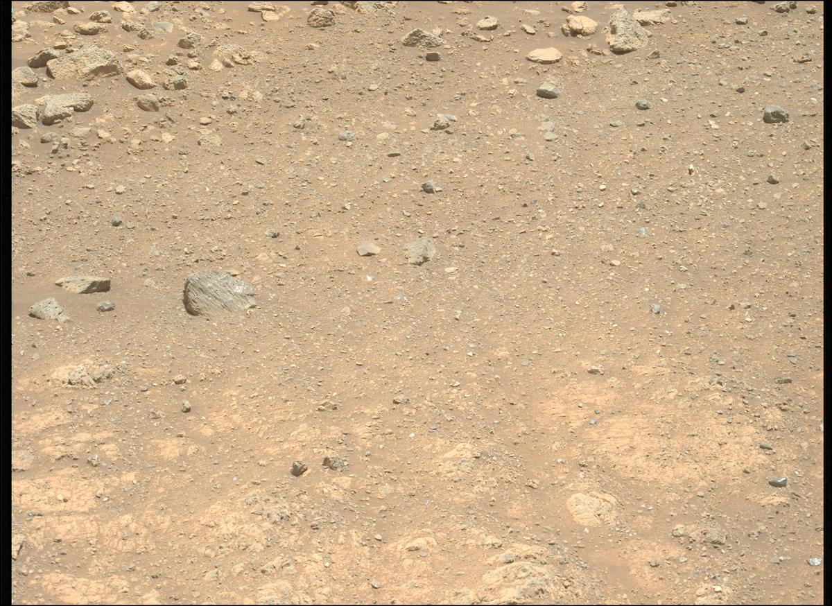 This image was taken by MCZ_LEFT onboard NASA's Mars rover Perseverance on Sol 1618