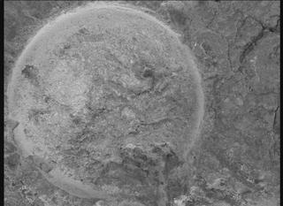 View image taken on Mars, Mars Perseverance Sol 1620: WATSON Camera 