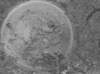 View image taken on Mars, Mars Perseverance Sol 1620: WATSON Camera 