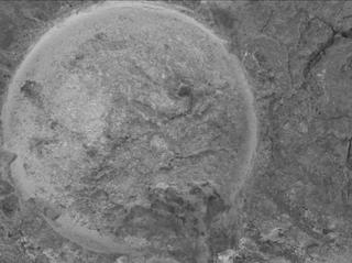 View image taken on Mars, Mars Perseverance Sol 1620: WATSON Camera 