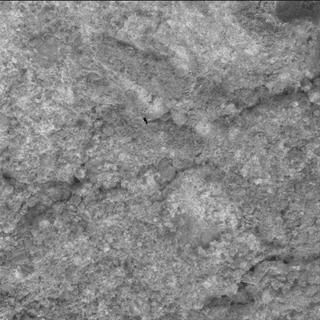 View image taken on Mars, Mars Perseverance Sol 1620: WATSON Camera 