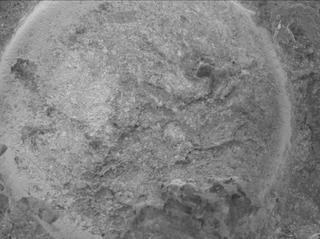 View image taken on Mars, Mars Perseverance Sol 1620: WATSON Camera 