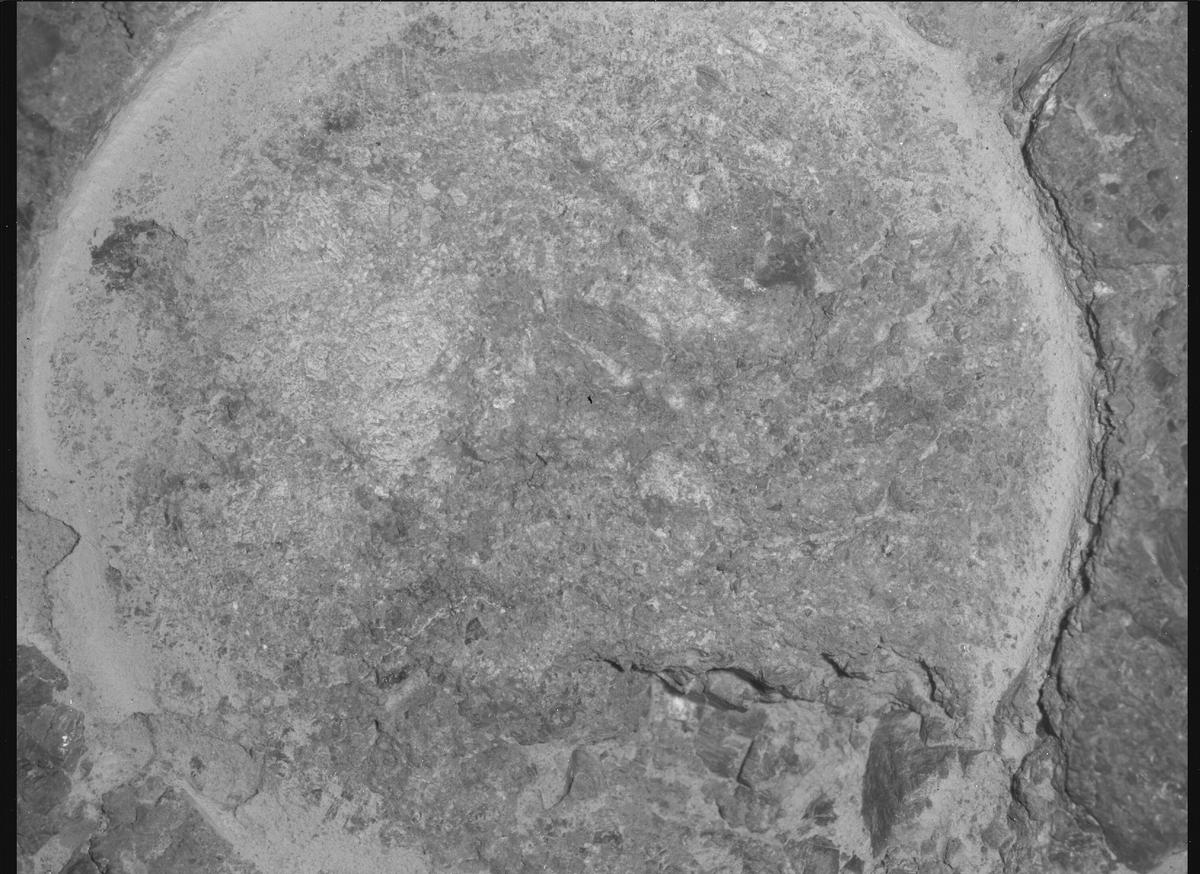 This image was taken by SHERLOC_WATSON onboard NASA's Mars rover Perseverance on Sol 1620