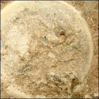 View image taken on Mars, Mars Perseverance Sol 1620: WATSON Camera 