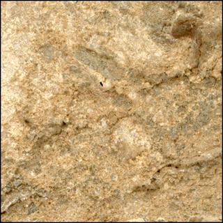 View image taken on Mars, Mars Perseverance Sol 1620: WATSON Camera 