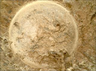 View image taken on Mars, Mars Perseverance Sol 1620: WATSON Camera 