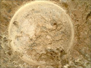 View image taken on Mars, Mars Perseverance Sol 1620: WATSON Camera 