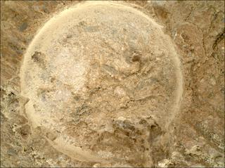 View image taken on Mars, Mars Perseverance Sol 1620: WATSON Camera 