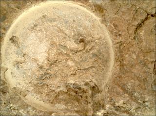 View image taken on Mars, Mars Perseverance Sol 1620: WATSON Camera 