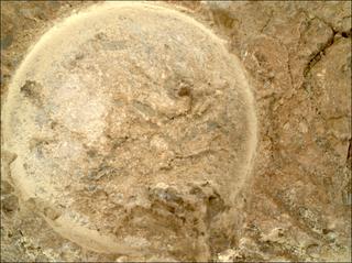 View image taken on Mars, Mars Perseverance Sol 1620: WATSON Camera 