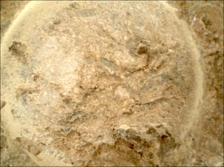 View image taken on Mars, Mars Perseverance Sol 1620: WATSON Camera 
