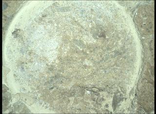 View image taken on Mars, Mars Perseverance Sol 1620: WATSON Camera 