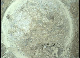 View image taken on Mars, Mars Perseverance Sol 1620: WATSON Camera 