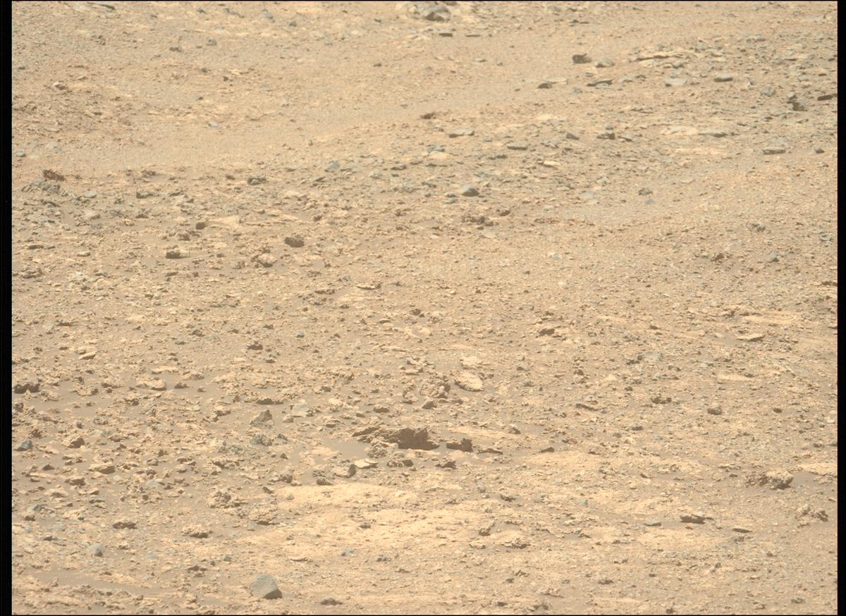 This image was taken by MCZ_LEFT onboard NASA's Mars rover Perseverance on Sol 1620