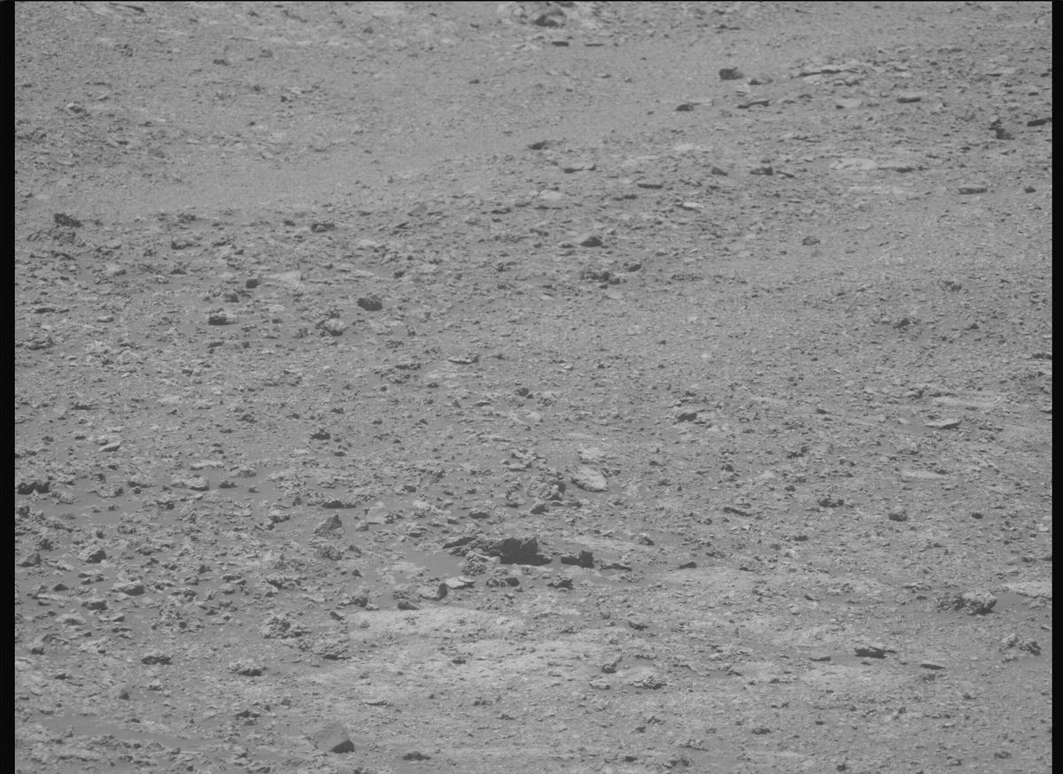 This image was taken by MCZ_LEFT onboard NASA's Mars rover Perseverance on Sol 1620