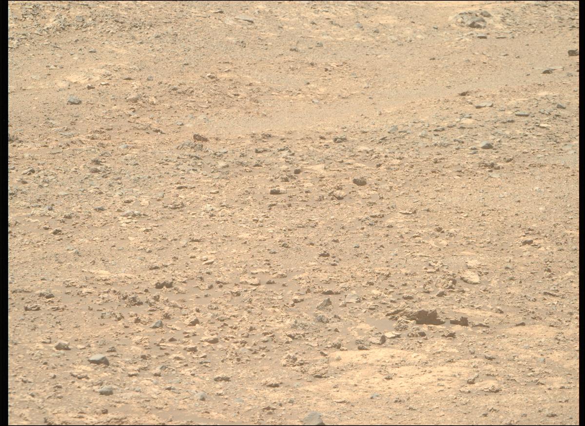 This image was taken by MCZ_RIGHT onboard NASA's Mars rover Perseverance on Sol 1620