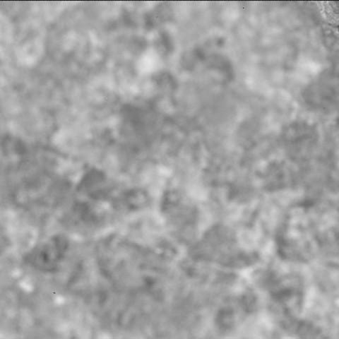 This image was taken by SHERLOC_ACI onboard NASA's Mars rover Perseverance on Sol 1621