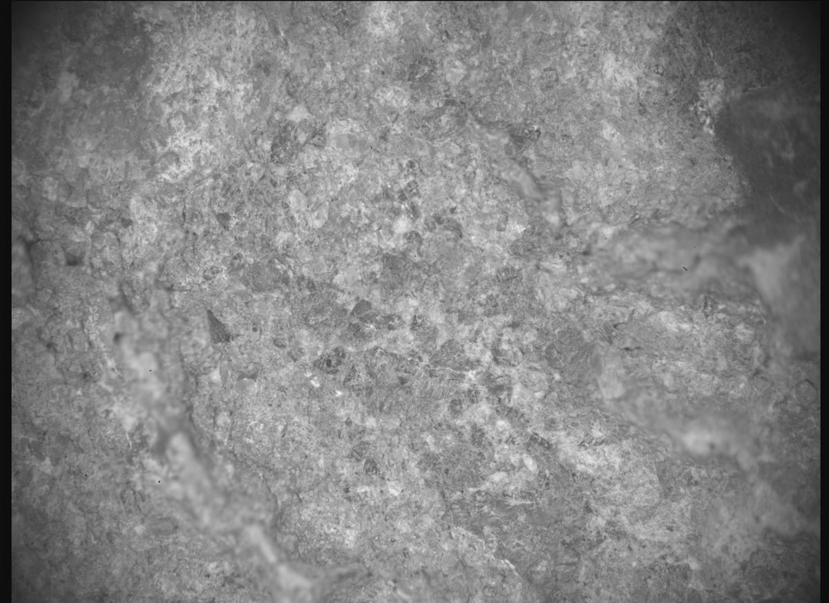 This image was taken by SHERLOC_ACI onboard NASA's Mars rover Perseverance on Sol 1621