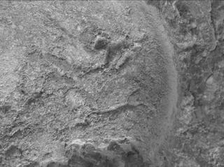 View image taken on Mars, Mars Perseverance Sol 1621: WATSON Camera 