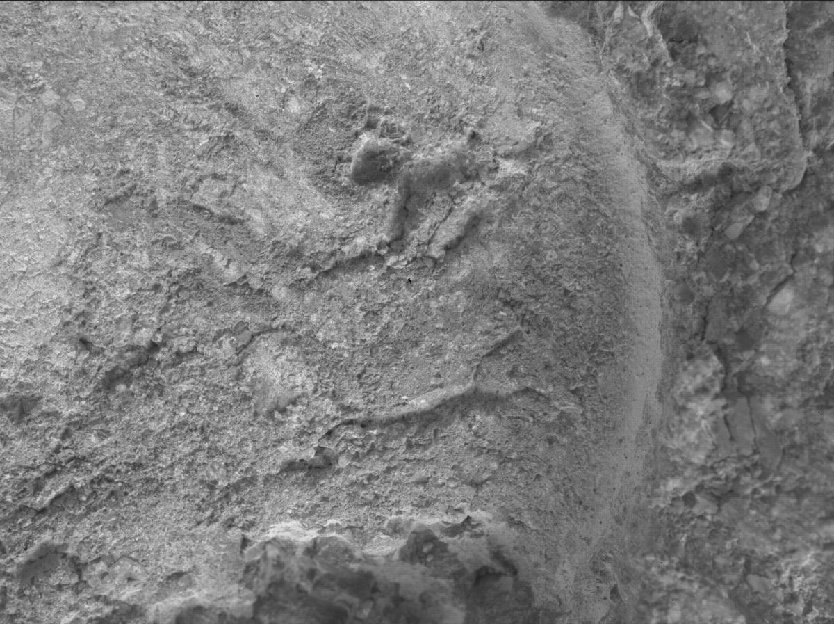 This image was taken by SHERLOC_WATSON onboard NASA's Mars rover Perseverance on Sol 1621