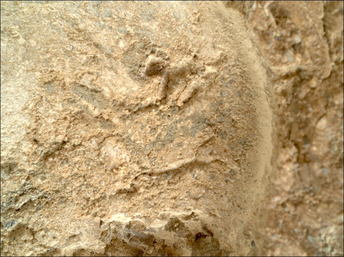 This image was taken by SHERLOC_WATSON onboard NASA's Mars rover Perseverance on Sol 1621